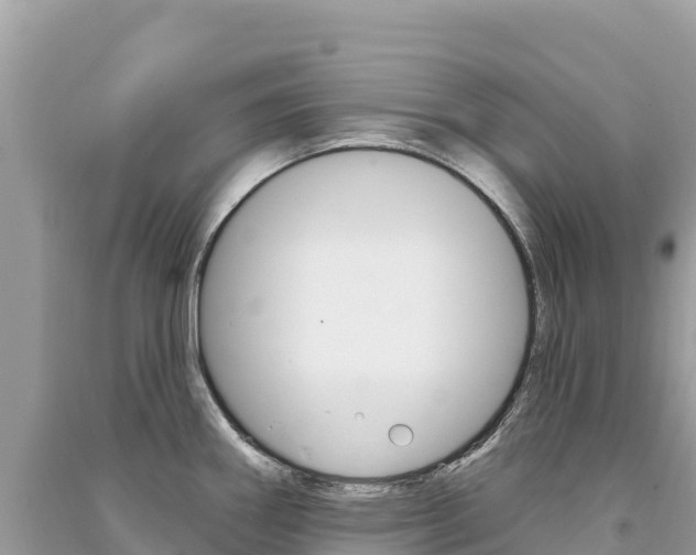 X0000091311290200708101101