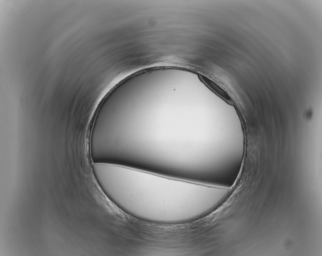 X0000091311292200708101101