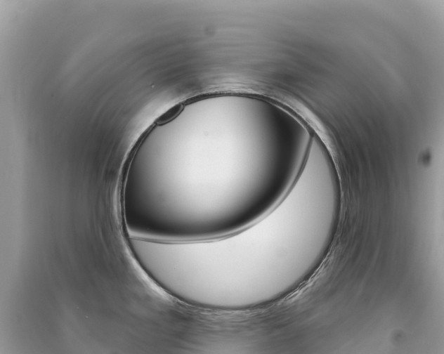 X0000091311293200708101101