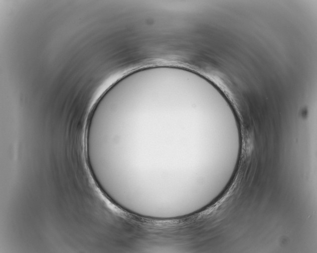 X0000091311294200708101101