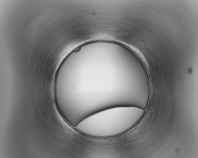 X0000091311295200708101101