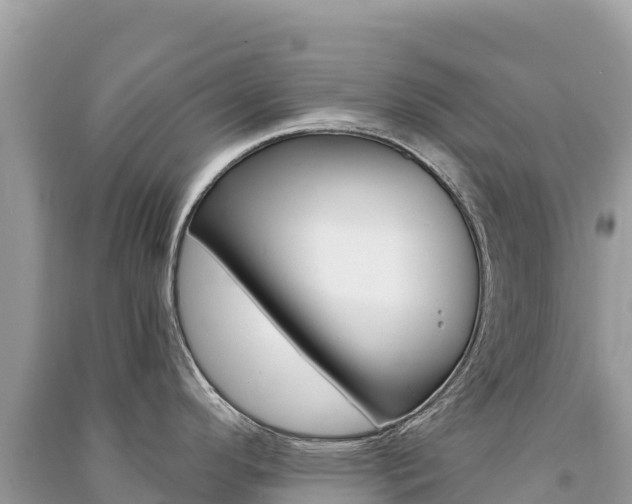 X0000091311296200708101101