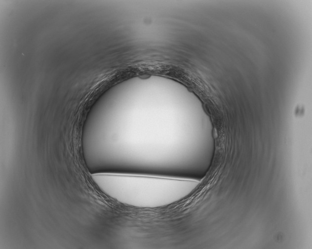 X0000091311297200708101100