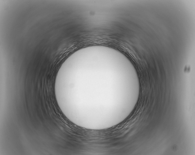 X0000091311298200708101100