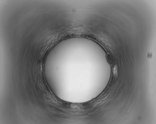 X0000091311299200708101100