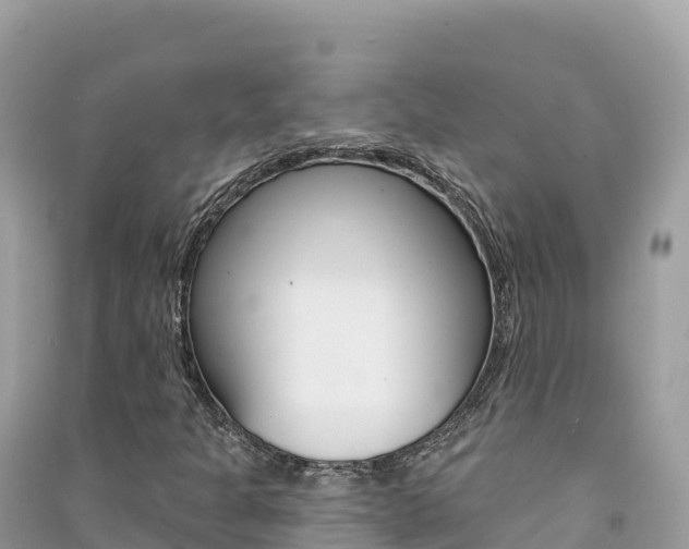 X0000091311301200708101100