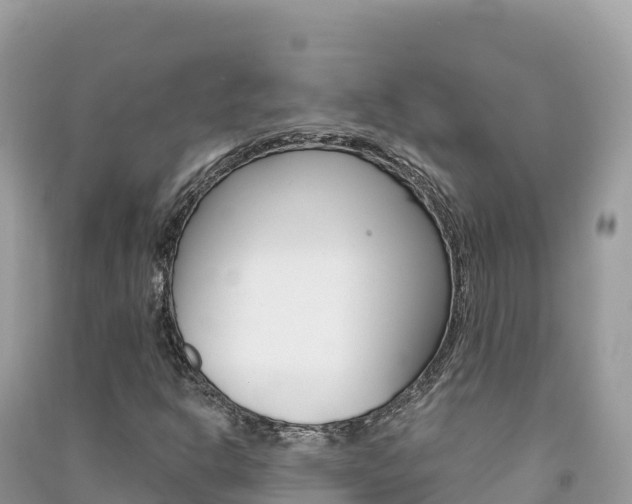 X0000091311302200708101100