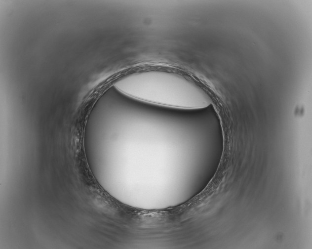 X0000091311303200708101100