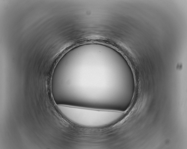 X0000091311305200708101100