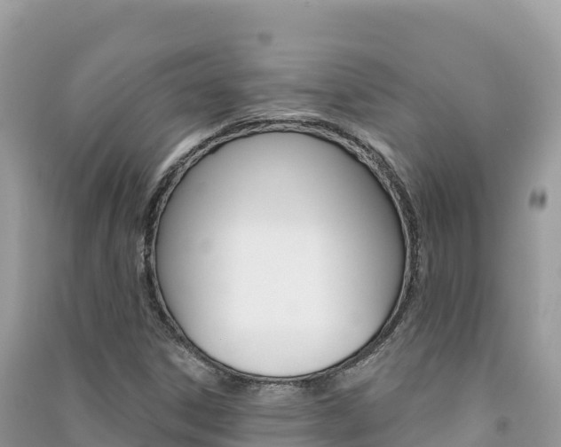 X0000091311306200708101100