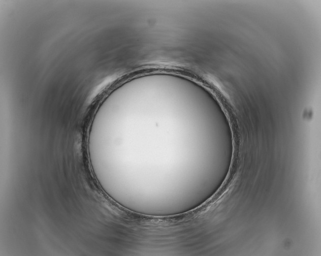 X0000091311307200708101100