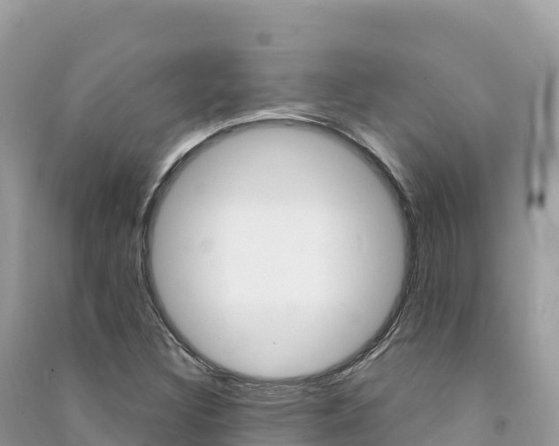 X0000091311308200708101100