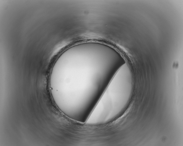 X0000091311309200708101100