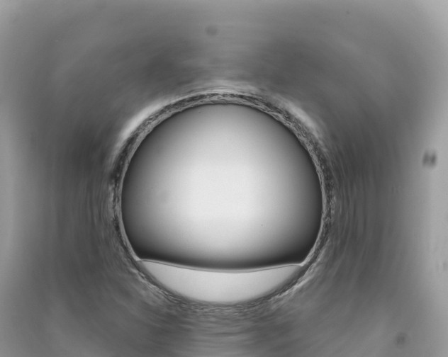 X0000091311310200708101100