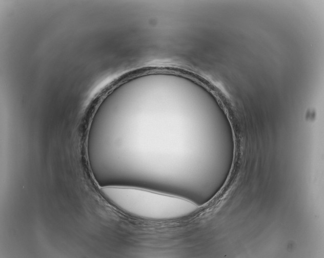 X0000091311311200708101100