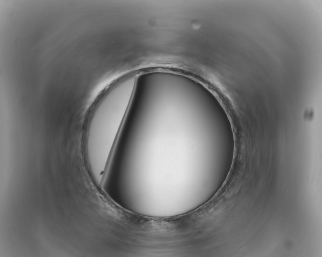 X0000091311312200708101100