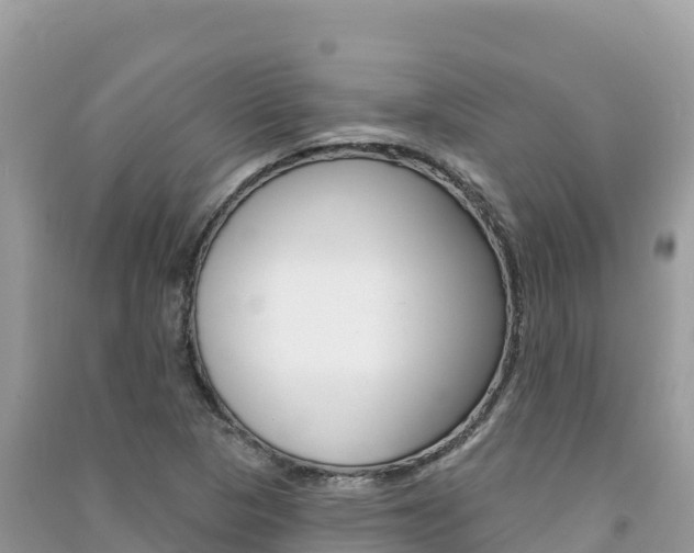 X0000091311313200708101100