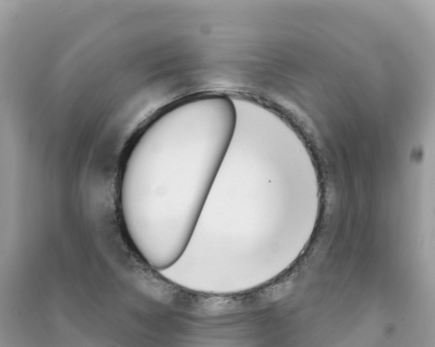 X0000091311314200708101100