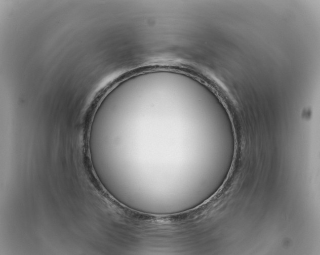 X0000091311315200708101100