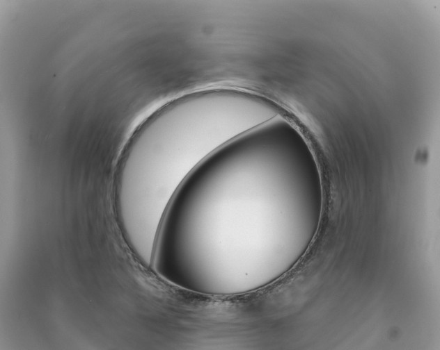 X0000091311316200708101101
