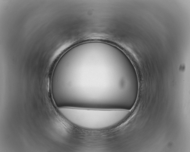 X0000091311317200708101101
