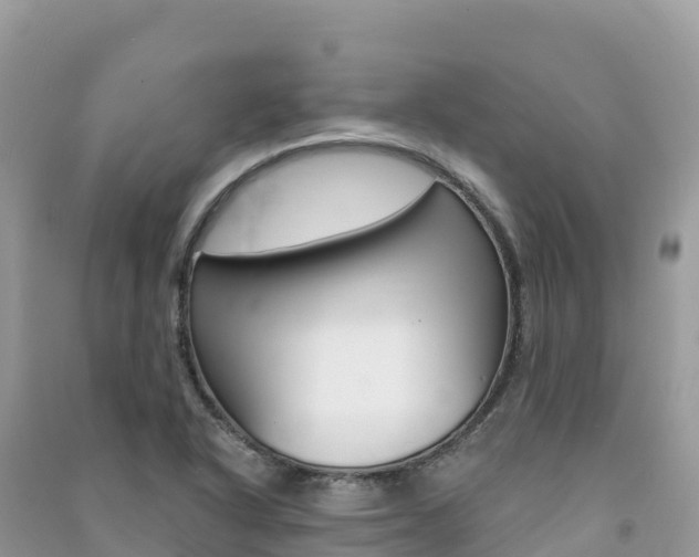 X0000091311318200708101101