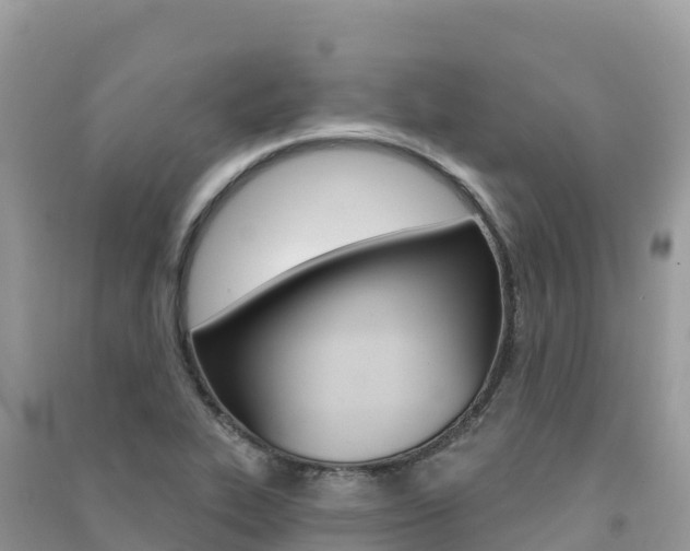 X0000091311319200708101101