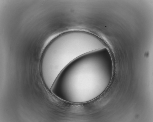 X0000091311320200708101101