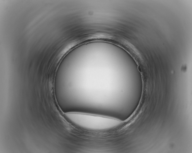 X0000091311321200708101101