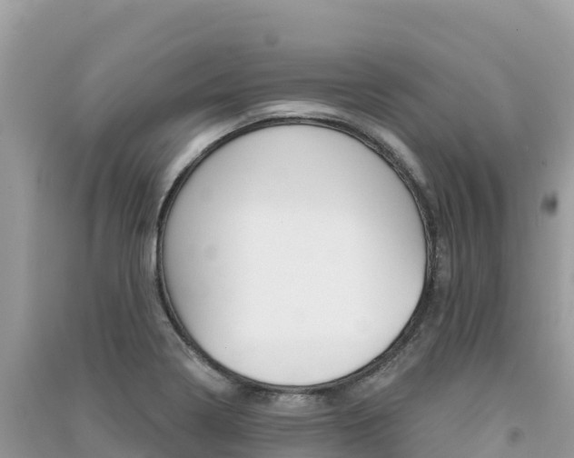 X0000091311322200708101101