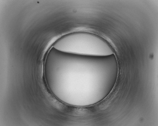 X0000091311323200708101101