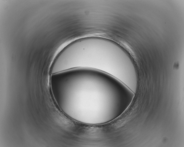 X0000091311324200708101101
