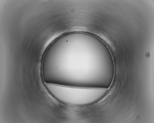 X0000091311325200708101101