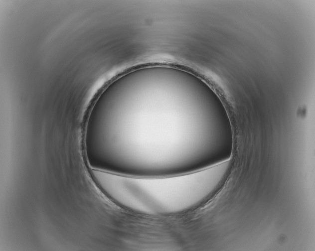 X0000091311326200708101101