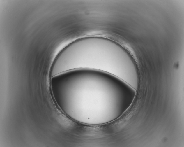 X0000091311328200708101101