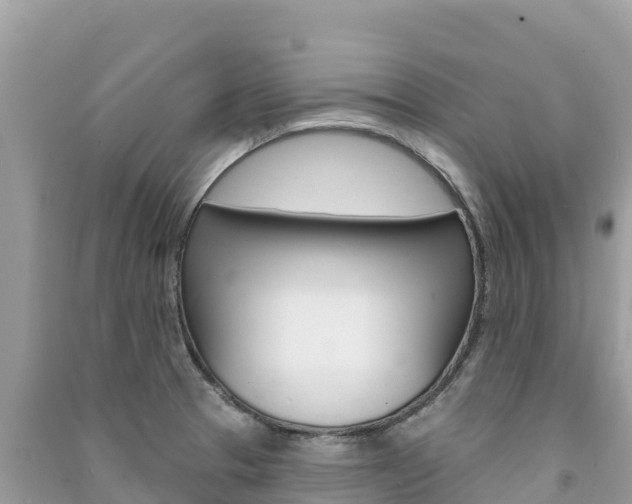 X0000091311329200708101101