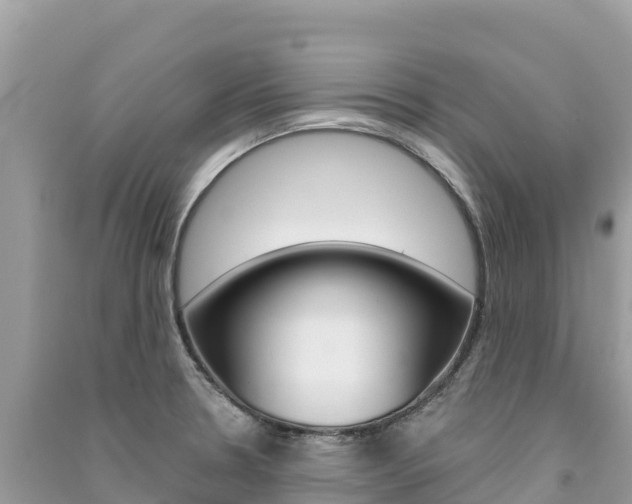 X0000091311330200708101101