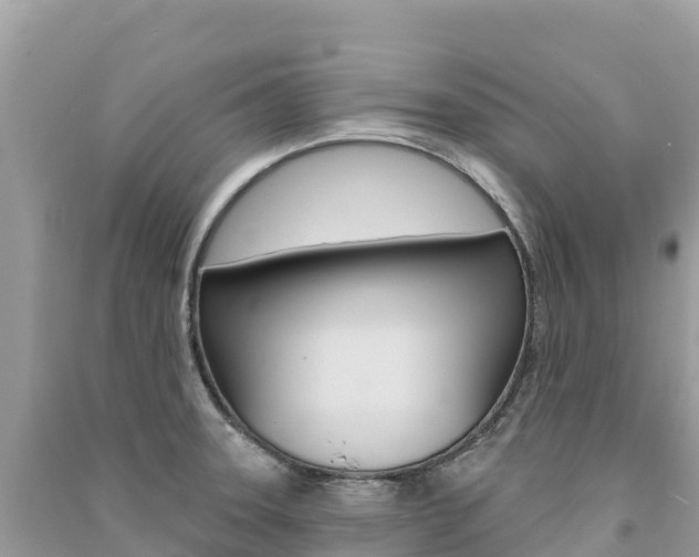X0000091311331200708101101