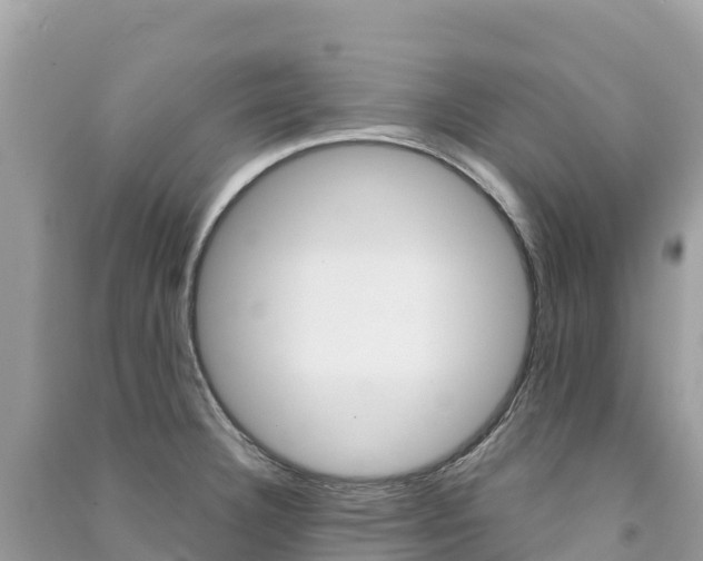 X0000091311332200708101101