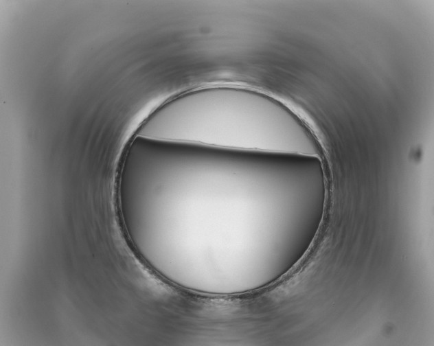 X0000091311333200708101101