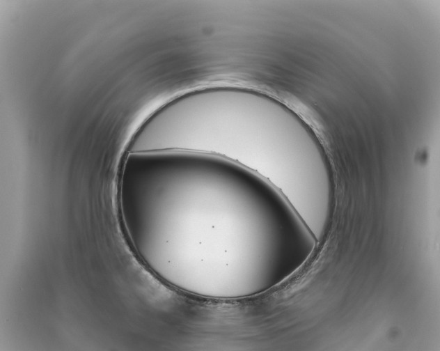X0000091311334200708101101