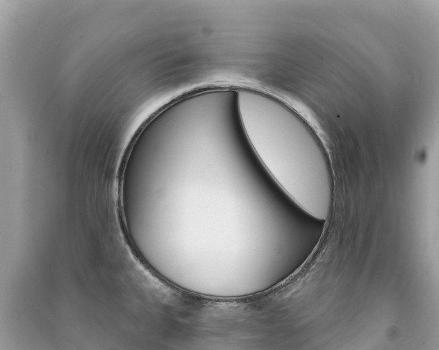 X0000091311335200708101101