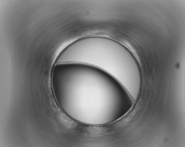 X0000091311336200708101101