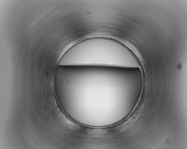 X0000091311337200708101101
