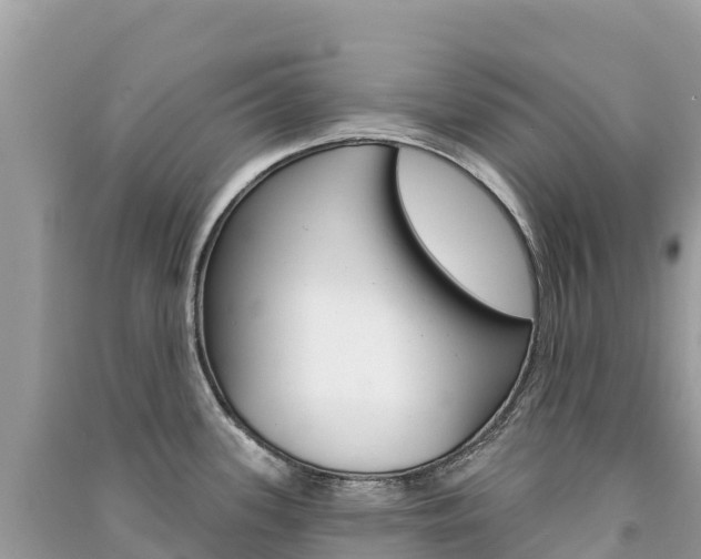 X0000091311339200708101101