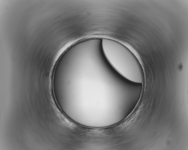 X0000091311341200708101101
