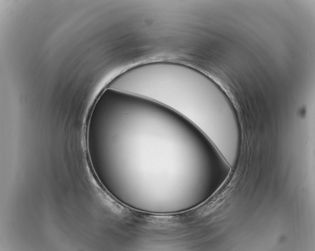 X0000091311342200708101101