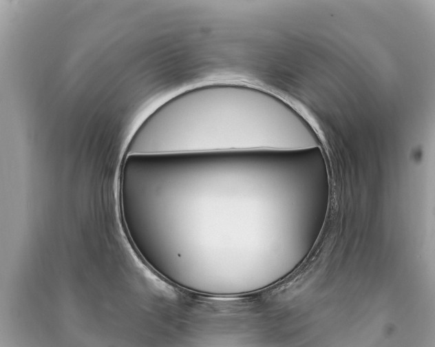X0000091311343200708101101