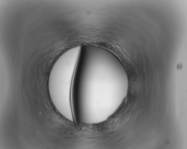 X0000091311345200708101100