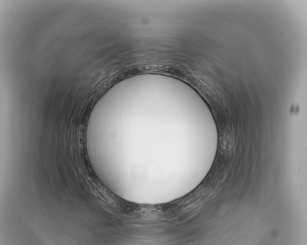 X0000091311346200708101100